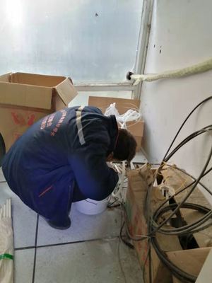 龙泉驿专业灭鼠服务 守护度假酒店卫生安全