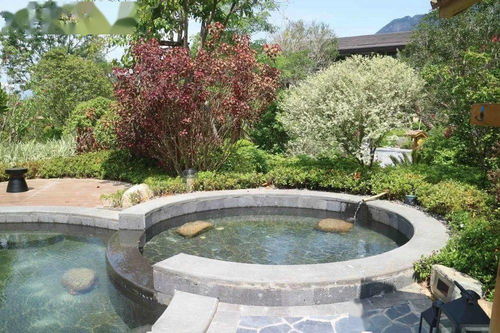 梧桐君澜温泉度假酒店盛大启幕，开启都市微度假新体验